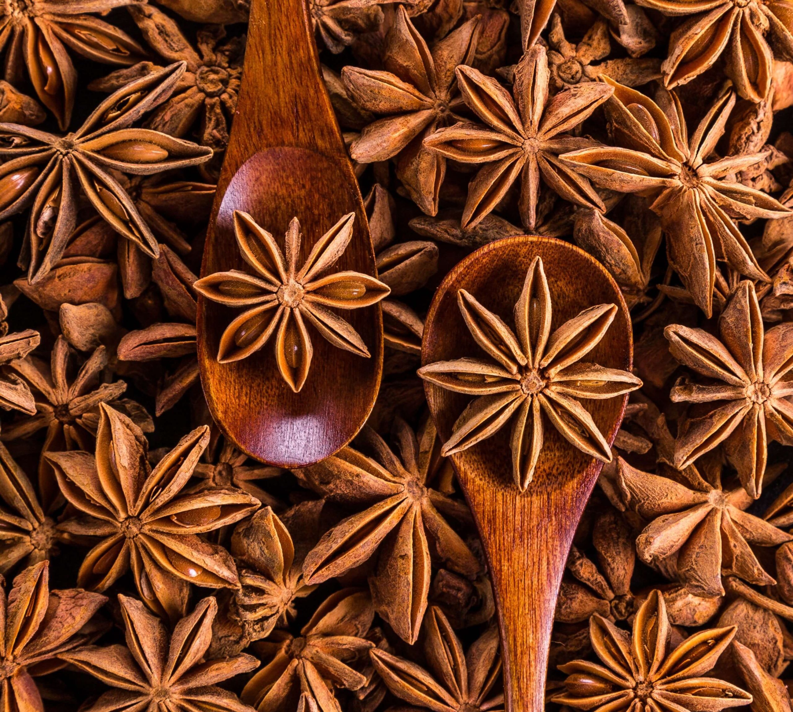 Hanfimex star anise